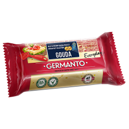 Sūris  Germanto Gouda  45%...