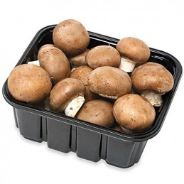 Rudieji pievagrybiai 250g