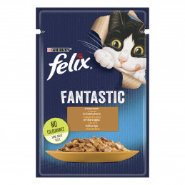 Katėms  Felix  Fantastic...