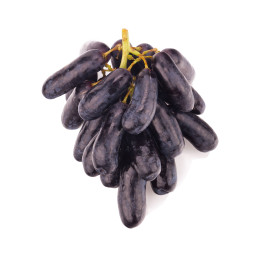 Vynuogės mėlynos, pailgos