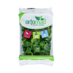 Salotinė sultenė 100g