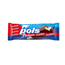 Glaistytas plombyras  Pols...