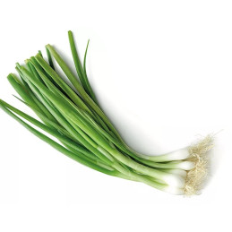 Svogūnų laiškai 1vnt su gumbais