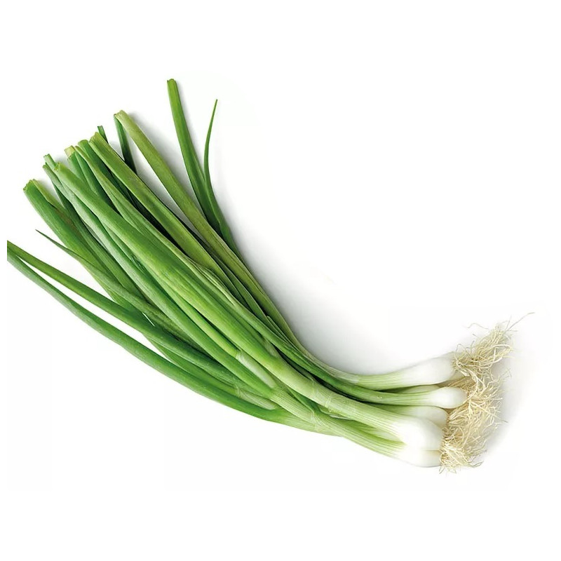 Svogūnų laiškai 1vnt su gumbais