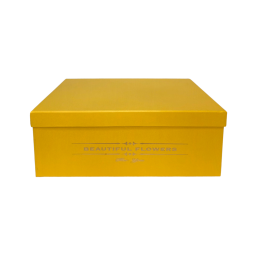 Dovanų dėžutė 1 vnt. A-468