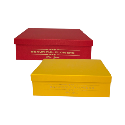 Dovanų dėžutė 1 vnt. A-468