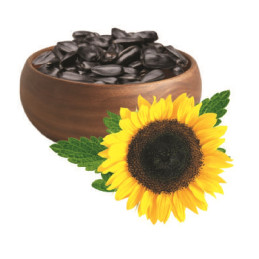 Saulėgrąžos juodos su...