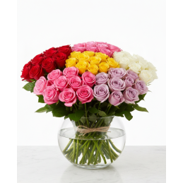 Skinta rožė 1 vnt. apie 80cm