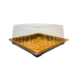 Plastikinis padėklas su...