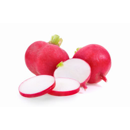 Ridikėliai, raudonieji