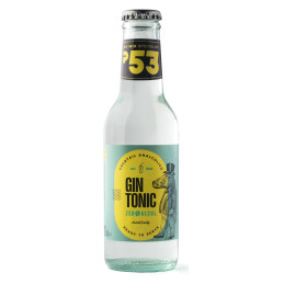 Nealkoholinis gazuotas gaivusis gėrimas "Gin Tonic" 200ml