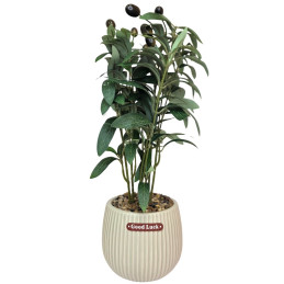 Dirbtinis augalas vazone