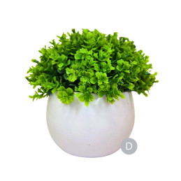 Dirbtinis augalas vazone