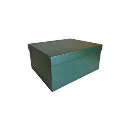 Popierinė dovanų dėžutė žalia 19,5 x 15 x 9 cm, 1 vnt