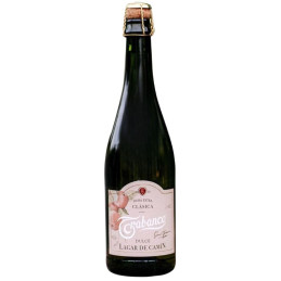 Gazuotas sidras Lagae De Camin Extra (5%), 750 ml