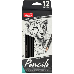 Pieštukų rinkinys 12 vnt