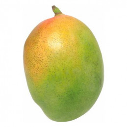 Mango 1vnt