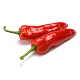 Saldžioji paprika, pailga raudona