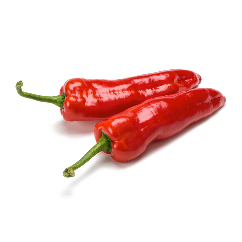 Saldžioji paprika, pailga raudona