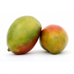 Mango (10)1vnt