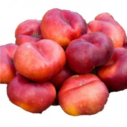 Nektarinai Paraguayo