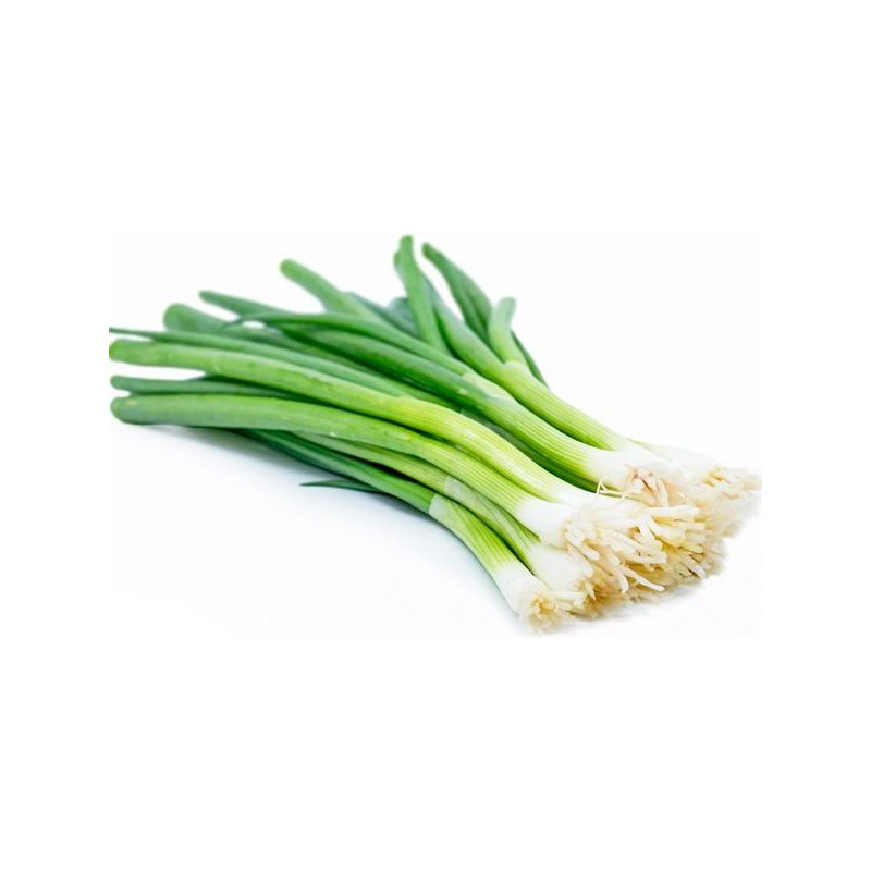 Svogūnų laiškai