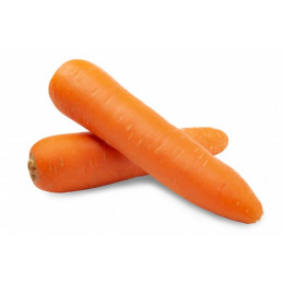 Morkos, naujo derliaus