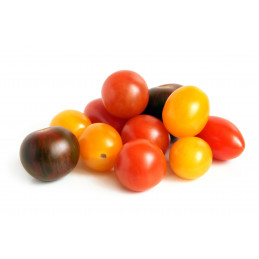 Smulkiavaisiai pomidorai (MIX)